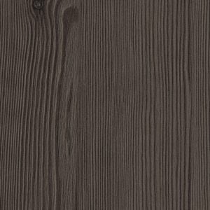 Anthracite Mountain Larch