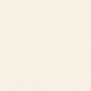 Porcelain White